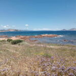 Half-day tour by dinghy in the Tavolara Marine Protected Area - The Itinerary: A Day in Pictures