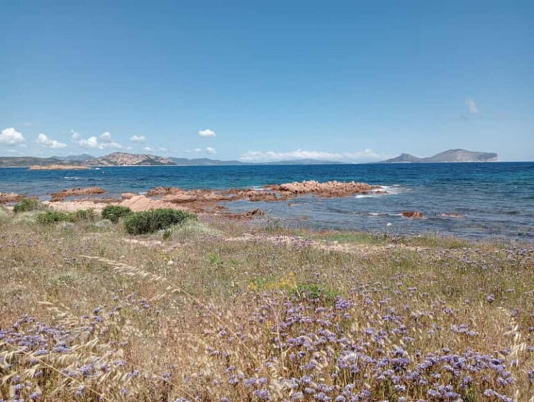 Half-day tour by dinghy in the Tavolara Marine Protected Area - The Itinerary: A Day in Pictures