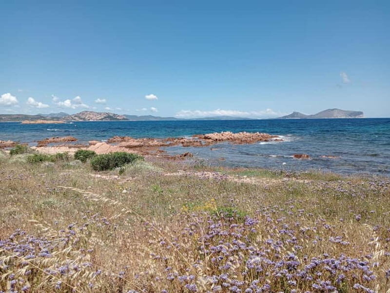 Half-day tour by dinghy in the Tavolara Marine Protected Area - The Itinerary: A Day in Pictures