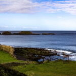 Half-day tour: Sierra del Cume and East Coast - What Makes This Tour Stand Out?