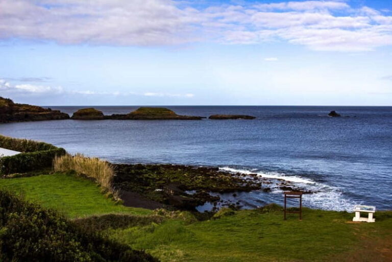 Half-day tour: Sierra del Cume and East Coast - What Makes This Tour Stand Out?