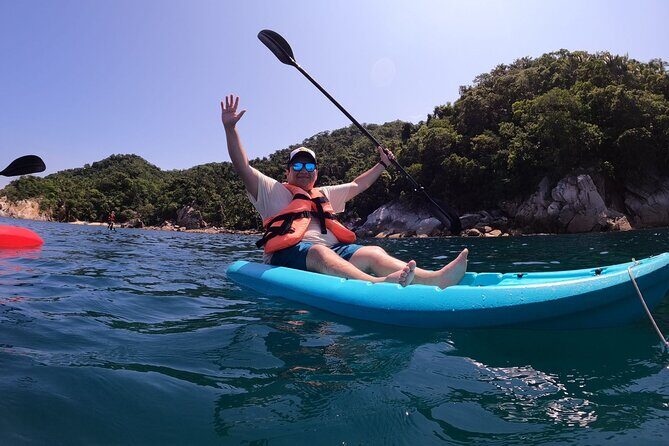 Half Day Tour with Snorkeling in Colomitos and Playa las Animas - Authentic Insights from Reviews