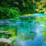 Half day trip to the Blue Eye - Why This Tour Offers Great Value