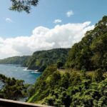 Half way to Hana Maui Open Air Jeep Private Tour - Analyzing the Price and Value