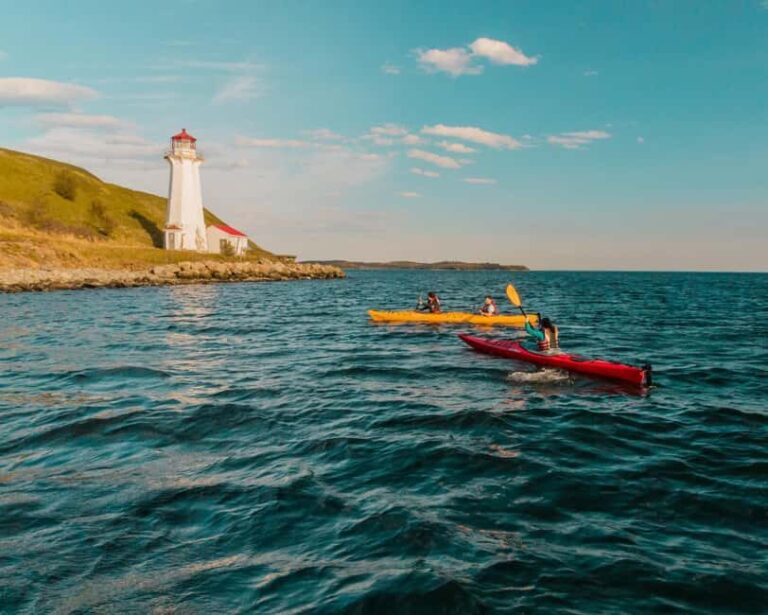 Halifax: Guided Kayak Tour with Multiple Options - What to Expect on the Water