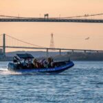 Halifax Harbour Historical & Wildlife High-Speed Tour - Practical Details and Experience
