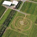 Hamburg: Altes Land Private Nature and Agriculture Tour - Who Will Love This Tour?