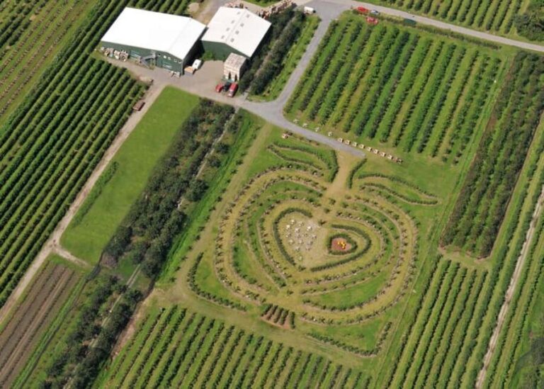 Hamburg: Altes Land Private Nature and Agriculture Tour - Who Will Love This Tour?