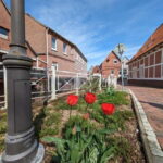 Hamburg Country Side - Altes Land - Itinerary Breakdown: What to Expect