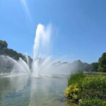 Hamburg Van Tour - Spring Special - The Itinerary Breakdown: What to Expect