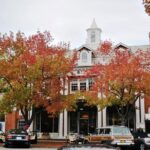 Hamptons Coastal Escape from NYC - Practical Details and What They Mean for You