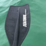 Harbor Kayak Rental in Destin, Florida - What Makes This Kayak Experience Special