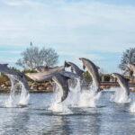 Harderwijk: Dolfinarium Entry Ticket - Who Will Love the Dolfinarium?