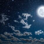 Haunted History Boat Tour in St. Augustine - Who Will Love This Tour?