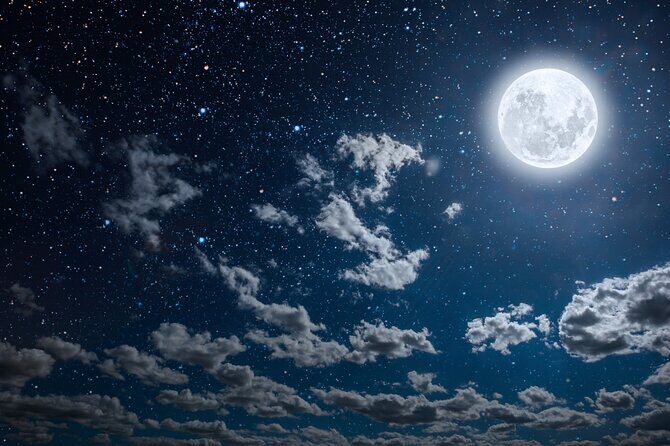 Haunted History Boat Tour in St. Augustine - Who Will Love This Tour?