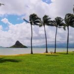 Hawaii Circle Island Tour - The Practicalities: What to Know