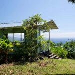 Hawaii: Hala Tree Coffee Farm Tour and Tasting - The Experience and Its Value