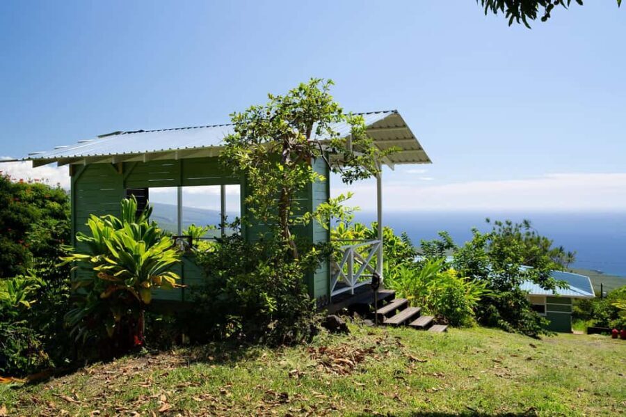 Hawaii: Hala Tree Coffee Farm Tour and Tasting - The Experience and Its Value