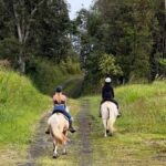 Hawaii: Small Group Rainforest Trail Ride - The Ride Itself: What to Expect
