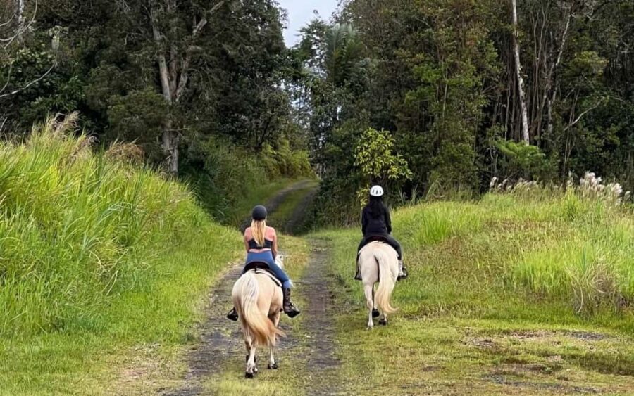 Hawaii: Small Group Rainforest Trail Ride - The Ride Itself: What to Expect