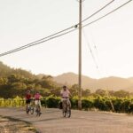Healdsburg: Guided Electric Bike Wine Tour with Winery Stops - An In-Depth Look at the Experience