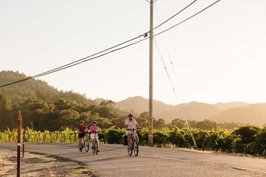 Healdsburg: Guided Electric Bike Wine Tour with Winery Stops - An In-Depth Look at the Experience