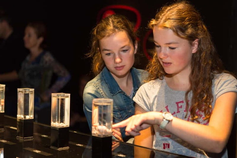 Heidelberg: BODY WORLDS Museum Entry Ticket - Who Will Love This Experience?