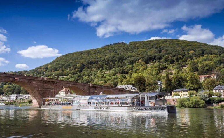 Heidelberg: Green City Tour with the Neckarsonne solar ship - The Verdict: Who Will Love This Tour?
