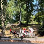 Hello New York: Your First Adventure in the Big Apple - What We Loved About the Tour