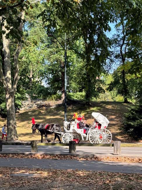 Hello New York: Your First Adventure in the Big Apple - What We Loved About the Tour