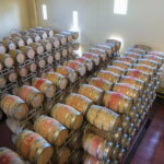 Helsinki: Private Visit to Finnish Berry Winery with Tasting - The Itinerary: From Helsinki to the Heart of Finnish Berries