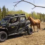 Helsinki: Reindeer Park and Horse Stable Private Tour - Why Choose This Tour?