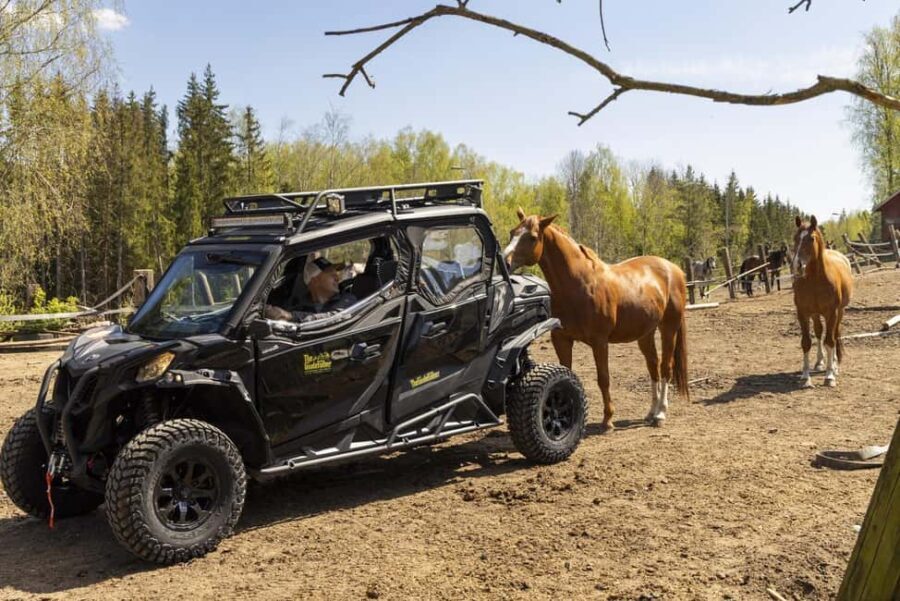 Helsinki: Reindeer Park and Horse Stable Private Tour - Why Choose This Tour?