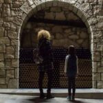 Heraklion: Guided Organic Wine Tasting & Vineyard Tour - Who Will Love This Tour?