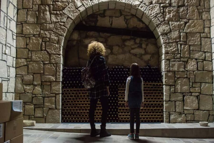 Heraklion: Guided Organic Wine Tasting & Vineyard Tour - Who Will Love This Tour?