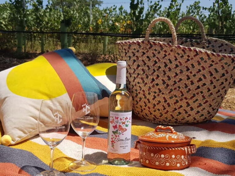 Herdade Canal Caveira - Visit Winery & Picnic - The Vineyard and Picnic Experience