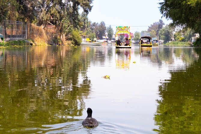 Hidden Canals of Tláhuac: A Peaceful Alternative to Xochimilco - The Itinerary in Detail