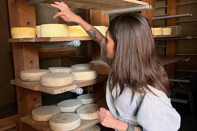 Hidden Gems Adventure in West Sonoma County - What We Loved About This Experience