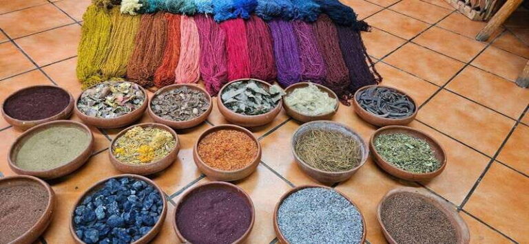 Hierve el agua: A Day of Adventure, Culture, and Flavor - Who Would Love This Tour?