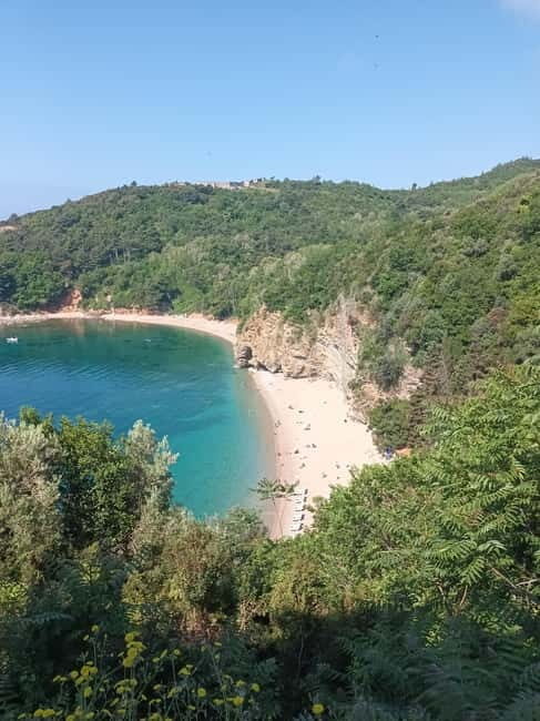 Highlights of Kotor, Perast & Budva - Who Will Love This Tour?