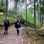 Hike In Gauja National Park - Sigulda - The Itinerary Breakdown