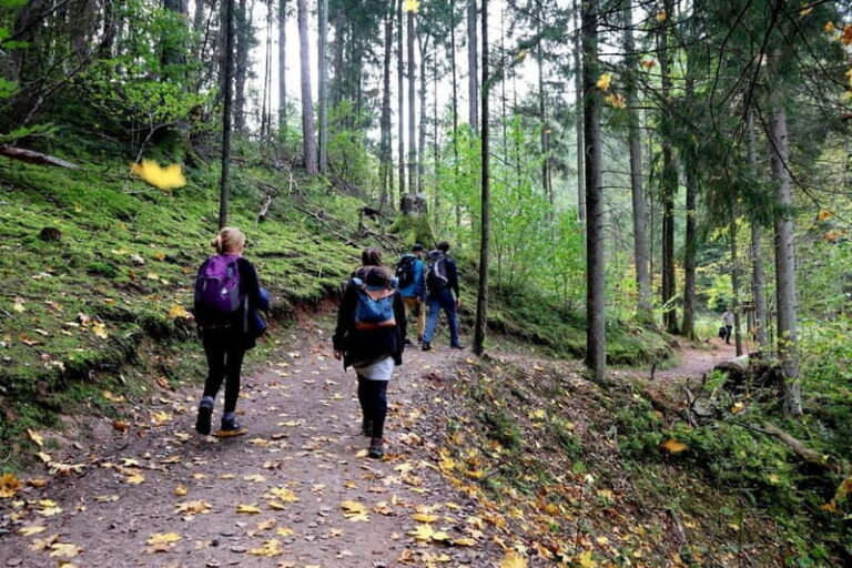 Hike In Gauja National Park - Sigulda - The Itinerary Breakdown