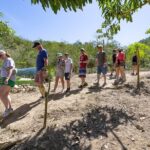 Hiking Adventure in Puerto Vallarta - Practical Details and What to Expect