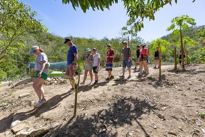 Hiking Adventure in Puerto Vallarta - Practical Details and What to Expect