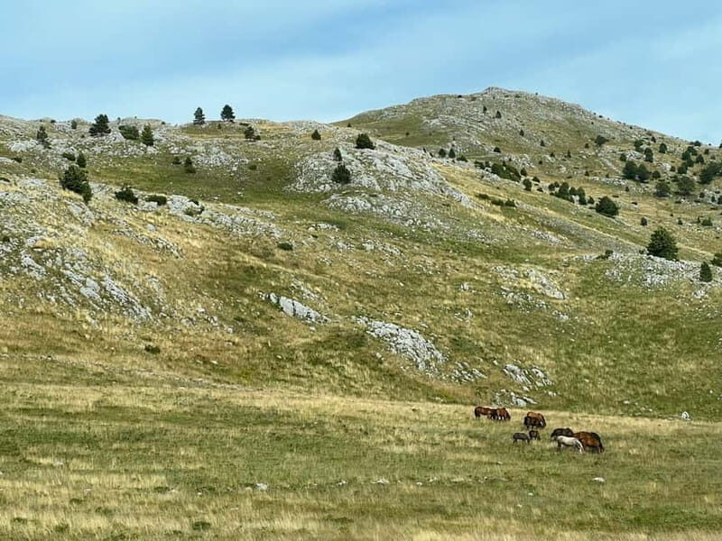 Hiking around Sarajevo: Lukomir Village Full Day Hiking Tour - What We Loved About the Tour
