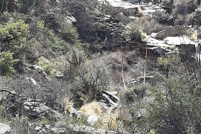 Hiking at Starr Pass and Tucson Mountains - The Value of the Price