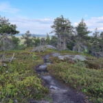 Hiking in Riisitunturi National Park - Why This Tour Delivers Excellent Value