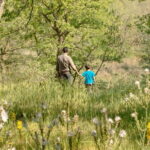 Hiking in the Alta Murgia National Park: the forest and the ancient farmhouse - Starting Point and First Impressions