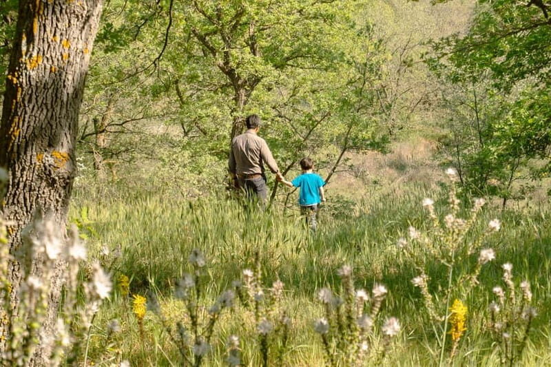 Hiking in the Alta Murgia National Park: the forest and the ancient farmhouse - Starting Point and First Impressions