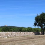 Hiking in the Murgia of Castel del Monte - The Inside Scoop from Other Travelers
